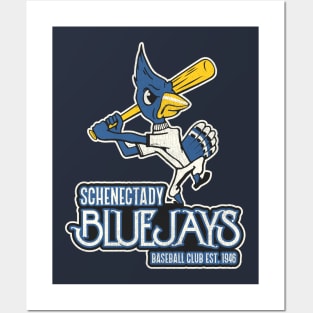 Defunct Schenectady Bluejays Baseball Team Posters and Art